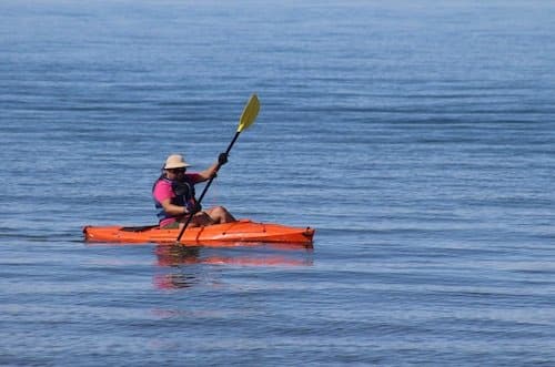 Kayaking en Dunedin